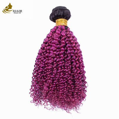 Afro Kinky Curly Dark Root Purple Ombre Virgin Human Hair Bundles Untuk Dijual