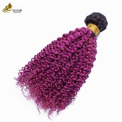 Afro Kinky Curly Dark Root Purple Ombre Virgin Human Hair Bundles Untuk Dijual