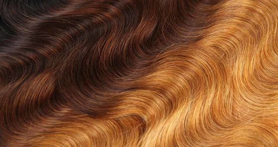 1B 4 27 Curly Ombre Virgin Hair Body Wave Extensions dengan Penutupan