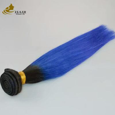 Gadis mentah Brazil Ombre Ekstensi Rambut Manusia Bundel Biru 1B