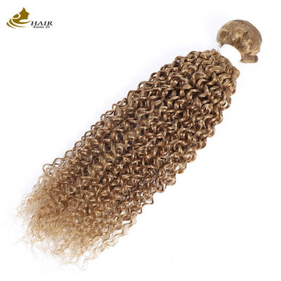 27 Warna Weft Ombre Ekstensi Rambut Manusia Virgin Curly 100g/Bundel