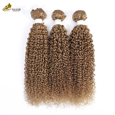 27 Warna Weft Ombre Ekstensi Rambut Manusia Virgin Curly 100g/Bundel