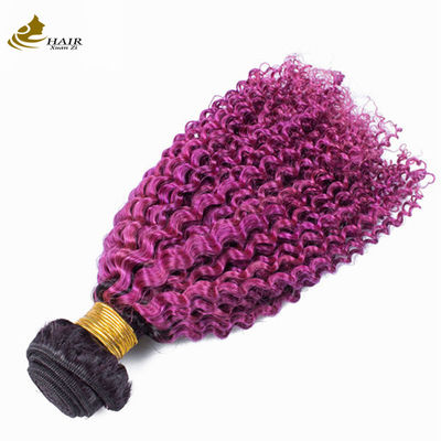 Afro Kinky Curly Dark Root Purple Ombre Virgin Human Hair Bundles Untuk Dijual