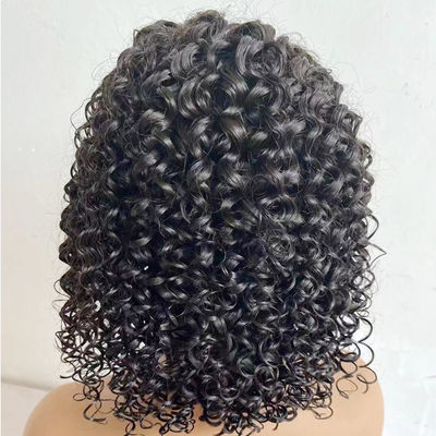 Grosir 13X6 13X4 HD Brazil Curl Transparent Lace Human Front Hair Wig